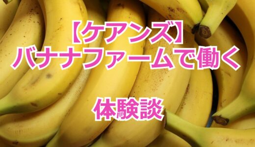 【ケアンズ】バナナファームの仕事について【ワーホリ】